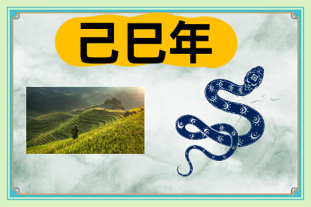 69c8f33ef33fa6599a276b516de7c4b4