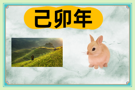 d43f7800e6abe07bfd25765839354f72